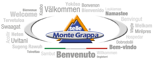 Selle Monte Grappa Saddle Catalog